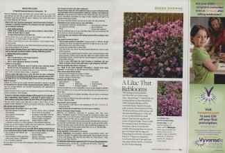 Better Homes & Gardens April 2010 Magazine Article: Page 104