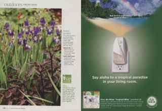 Better Homes & Gardens April 2010 Magazine Article: Page 128