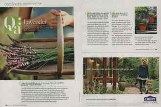 Better Homes & Gardens April 2010 Magazine Article: Q: a Lavender