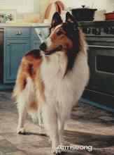 Better Homes & Gardens May 2010 Magazine Article: Page 1