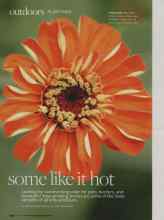 Better Homes & Gardens May 2010 Magazine Article: Some like it hot