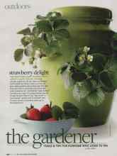 Better Homes & Gardens May 2010 Magazine Article: Strawberry delight