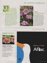 Better Homes & Gardens May 2010 Magazine Article: Happy zinnias