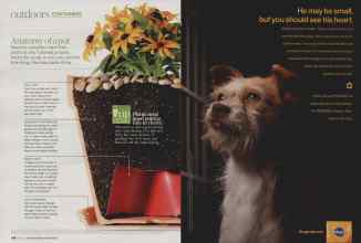 Better Homes & Gardens May 2010 Magazine Article: Page 118