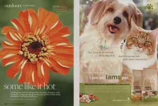 Better Homes & Gardens May 2010 Magazine Article: Page 134