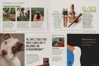 Better Homes & Gardens May 2010 Magazine Article: Page 142