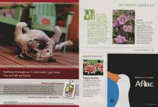 Better Homes & Gardens May 2010 Magazine Article: Page 146
