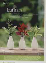 Better Homes & Gardens June 2010 Magazine Article: Leaf it up