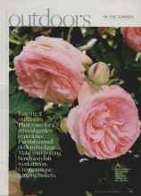 Better Homes & Gardens June 2010 Magazine Article: SOCIAL CLIMBERS