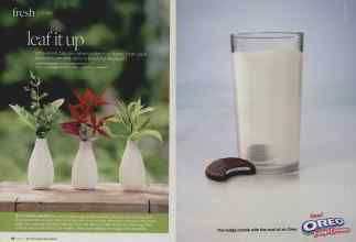 Better Homes & Gardens June 2010 Magazine Article: Page 28