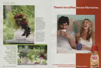 Better Homes & Gardens June 2010 Magazine Article: Page 30