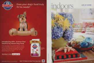 Better Homes & Gardens June 2010 Magazine Article: Page 34