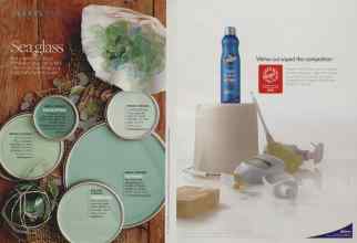 Better Homes & Gardens June 2010 Magazine Article: Page 46