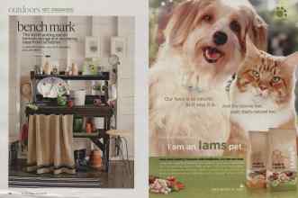 Better Homes & Gardens June 2010 Magazine Article: Page 132