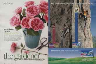 Better Homes & Gardens June 2010 Magazine Article: Page 138