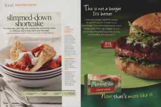 Better Homes & Gardens June 2010 Magazine Article: Page 184