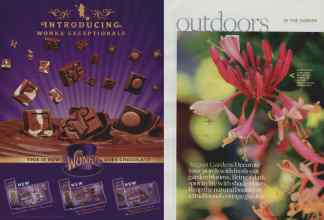 Better Homes & Gardens August 2010 Magazine Article: Page 82