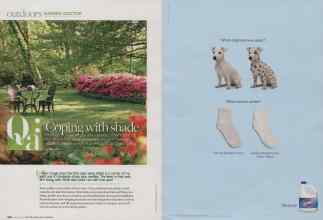 Better Homes & Gardens August 2010 Magazine Article: Page 100