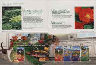 Better Homes & Gardens August 2010 Magazine Article: Page 104