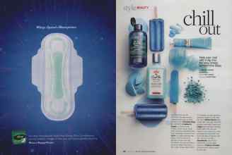 Better Homes & Gardens August 2010 Magazine Article: Page 125