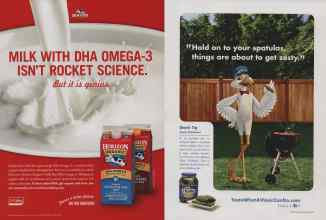 Better Homes & Gardens August 2010 Magazine Article: Page 179