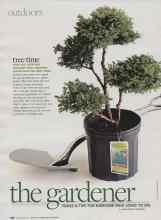 Better Homes & Gardens September 2010 Magazine Article: Tree time