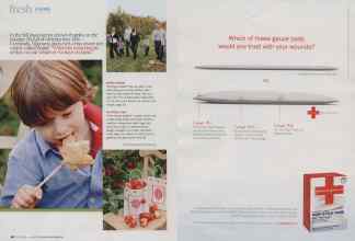 Better Homes & Gardens September 2010 Magazine Article: Page 28