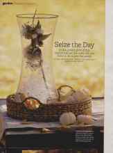 Better Homes & Gardens October 2010 Magazine Article: Seize the Day