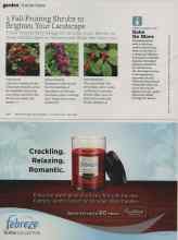 Better Homes & Gardens October 2010 Magazine Article: 3 Fall-Fruiting Shrubs to Brighten Your Landscape
