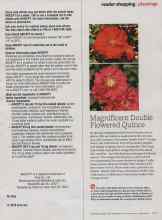 Better Homes & Gardens October 2010 Magazine Article: Magnificent Double Flowered Quince