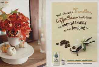 Better Homes & Gardens October 2010 Magazine Article: Page 34