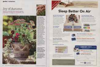 Better Homes & Gardens October 2010 Magazine Article: Page 150