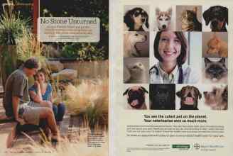 Better Homes & Gardens October 2010 Magazine Article: Page 152