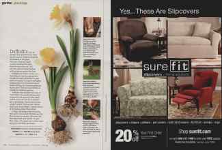 Better Homes & Gardens October 2010 Magazine Article: Page 162