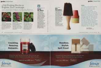 Better Homes & Gardens October 2010 Magazine Article: Page 168