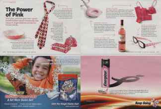 Better Homes & Gardens October 2010 Magazine Article: Page 270