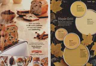 Better Homes & Gardens November 2010 Magazine Article: Page 46