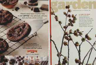 Better Homes & Gardens November 2010 Magazine Article: Page 110