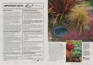 Better Homes & Gardens November 2010 Magazine Article: Page 124