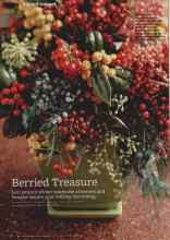 Better Homes & Gardens December 2010 Magazine Article: Berried Treasure