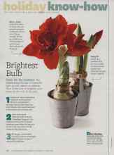 Better Homes & Gardens December 2010 Magazine Article: Brightest Bulb