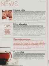 Better Homes & Gardens December 2010 Magazine Article: Tea totaling