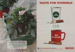 Better Homes & Gardens December 2010 Magazine Article: Page 36