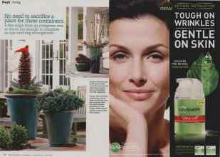 Better Homes & Gardens December 2010 Magazine Article: Page 38