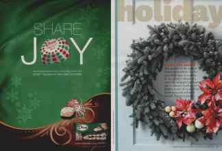 Better Homes & Gardens December 2010 Magazine Article: Page 42