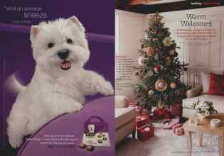 Better Homes & Gardens December 2010 Magazine Article: Page 56