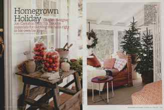 Better Homes & Gardens December 2010 Magazine Article: Homegrown Holiday