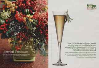 Better Homes & Gardens December 2010 Magazine Article: Page 118