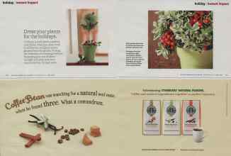 Better Homes & Gardens December 2010 Magazine Article: Page 124