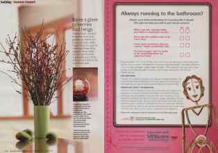 Better Homes & Gardens December 2010 Magazine Article: Page 126